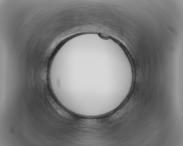 X0000114571499200911091205