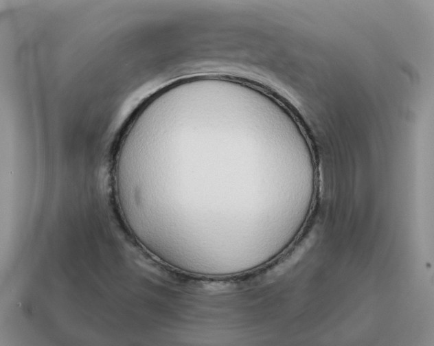 X0000114571501200911091205