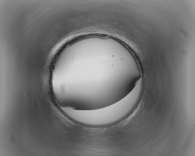 X0000114571502200911091205