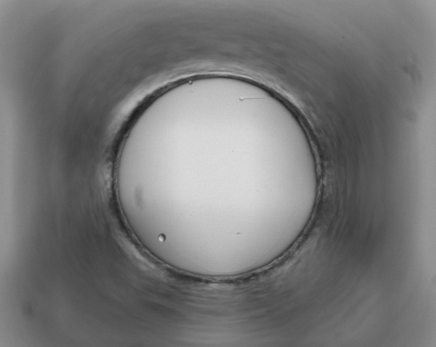 X0000114571503200911091205