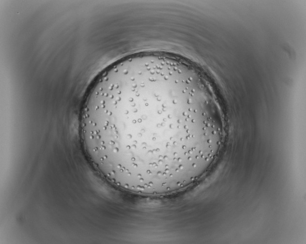 X0000114571505200911091205