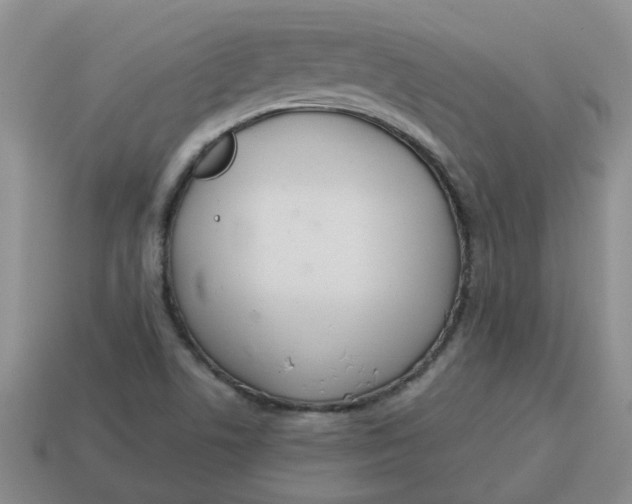 X0000114571506200911091205