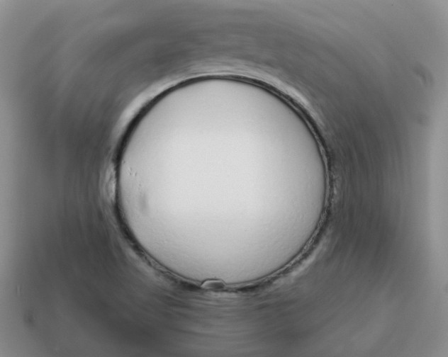 X0000114571509200911091205