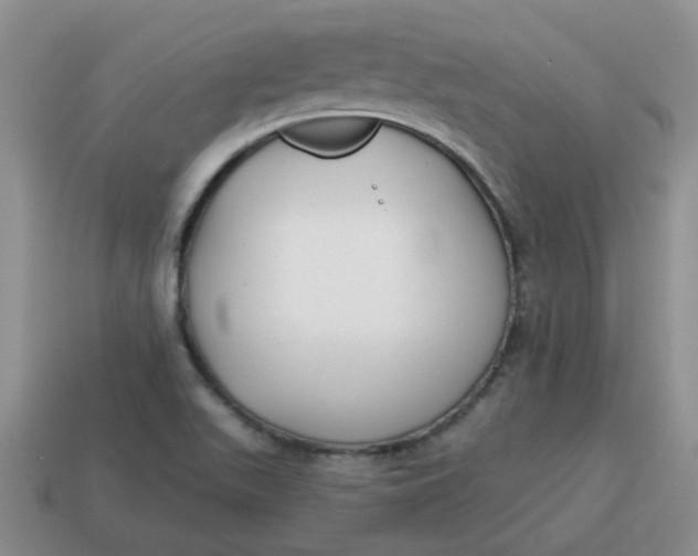 X0000114571511200911091205