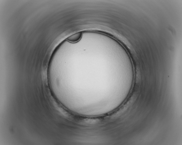 X0000114571513200911091205