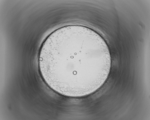 X0000114571514200911091205