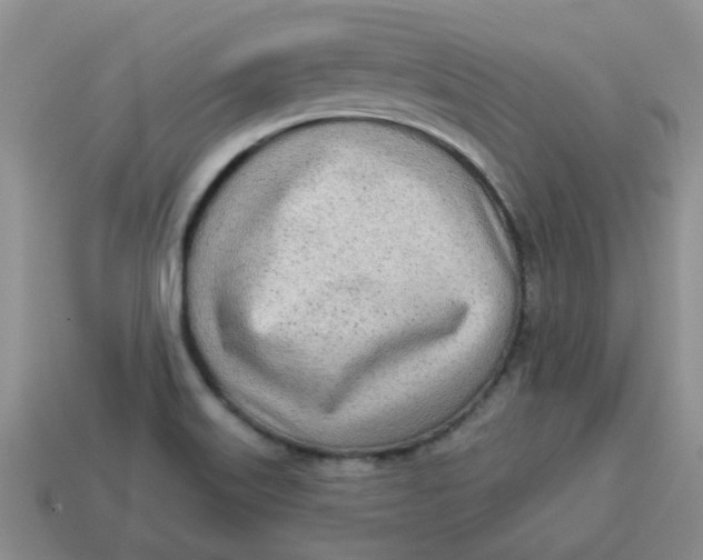 X0000114571515200911091205