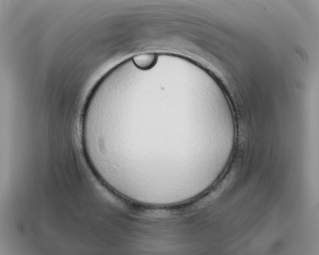 X0000114571517200911091205