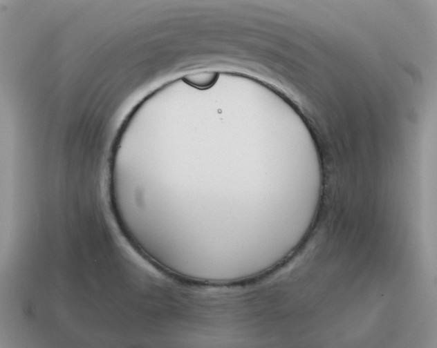 X0000114571518200911091205