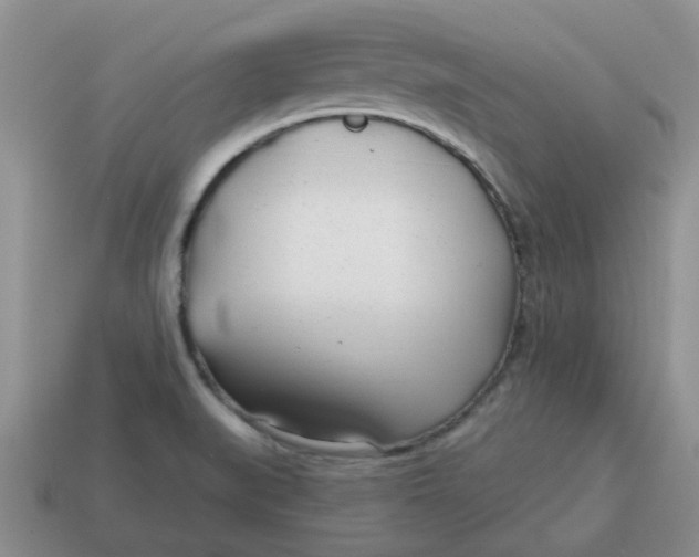 X0000114571519200911091205