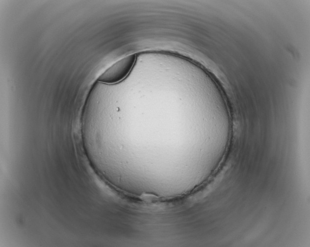 X0000114571521200911091205