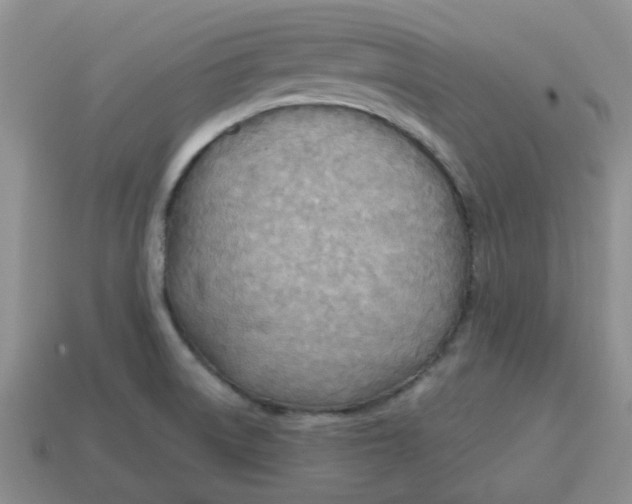 X0000114571522200911091205