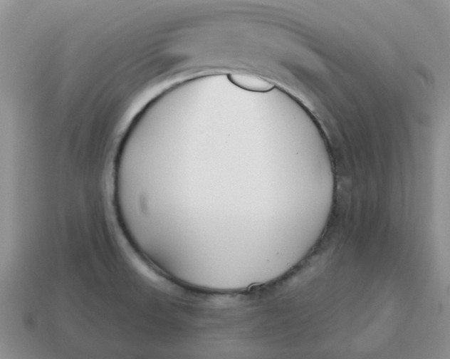 X0000114571523200911091205