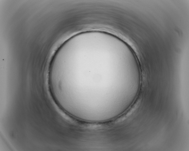 X0000114571525200911091205