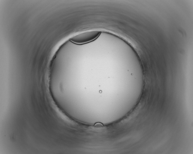 X0000114571526200911091205