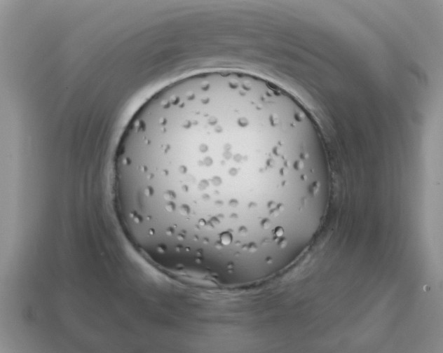 X0000114571527200911091205