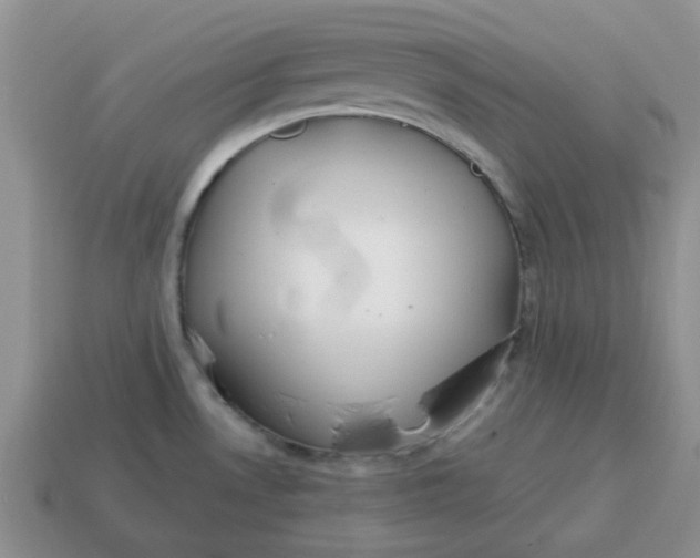 X0000114571530200911091205