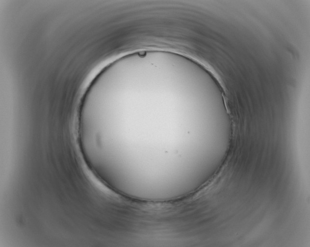 X0000114571531200911091205