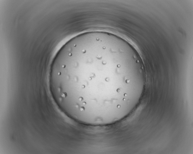 X0000114571533200911091205