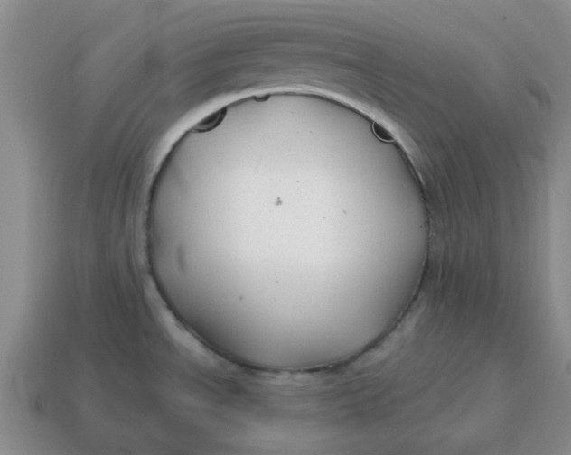 X0000114571534200911091205