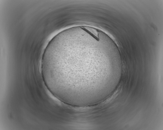 X0000114571535200911091205