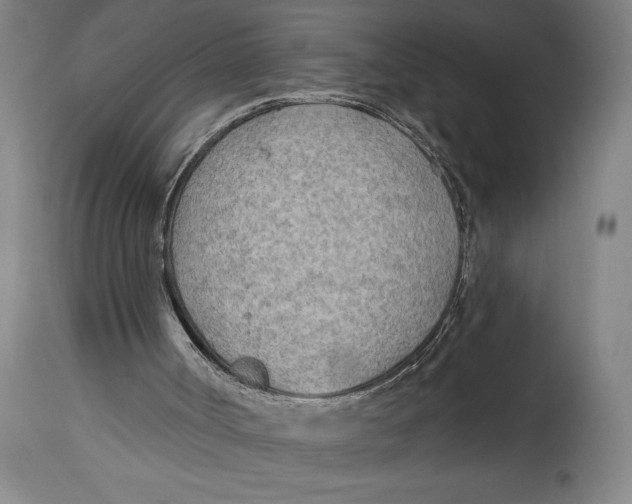 X0000114570002200911161257