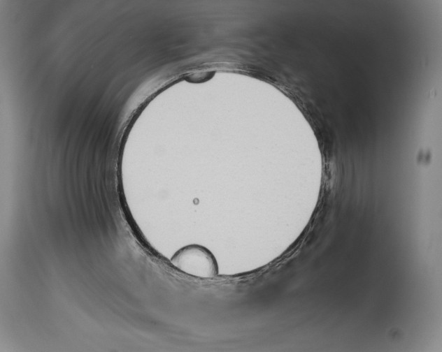 X0000114570004200911161257