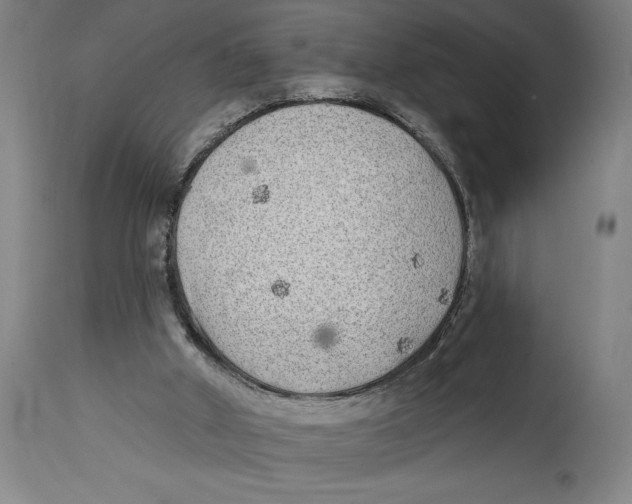 X0000114570010200911161256