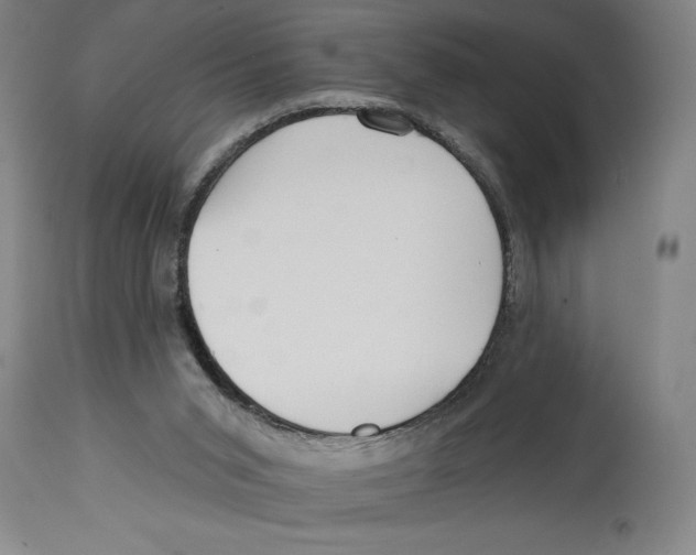 X0000114570015200911161256