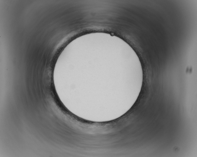 X0000114570016200911161256