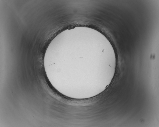 X0000114570017200911161256