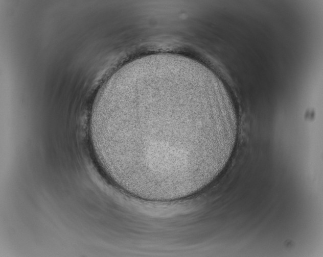 X0000114570018200911161256