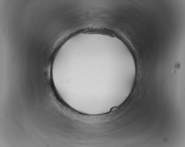 X0000114570019200911161256