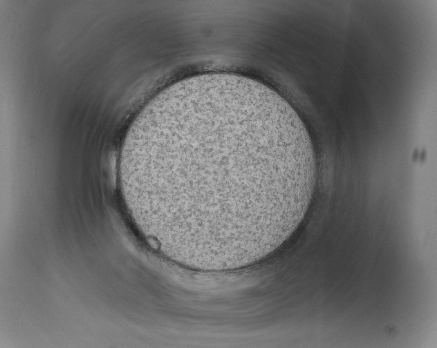 X0000114570022200911161256