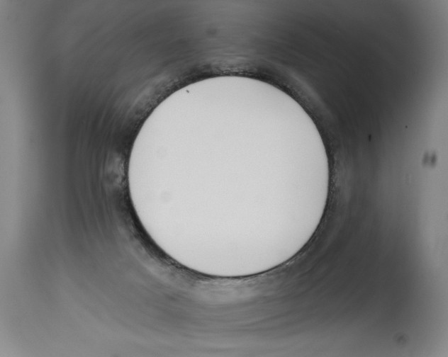 X0000114570025200911161256