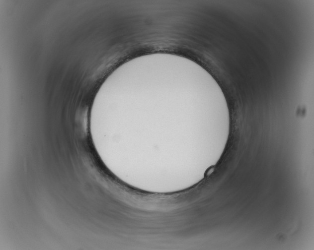 X0000114570028200911161256