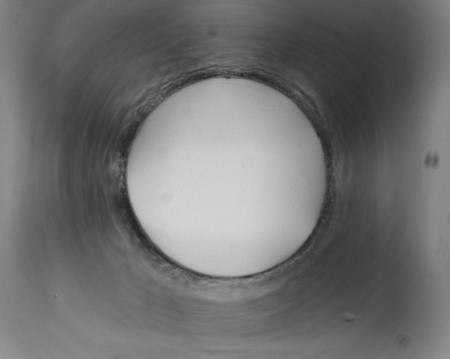 X0000114570029200911161256