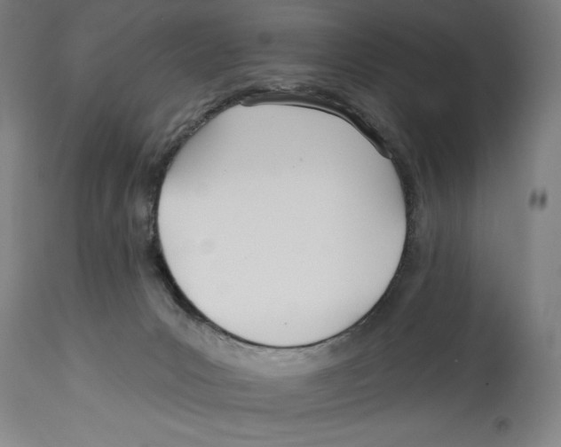 X0000114570031200911161256