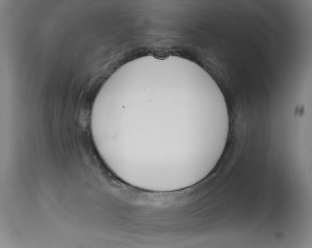 X0000114570033200911161256