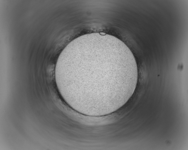 X0000114570034200911161256