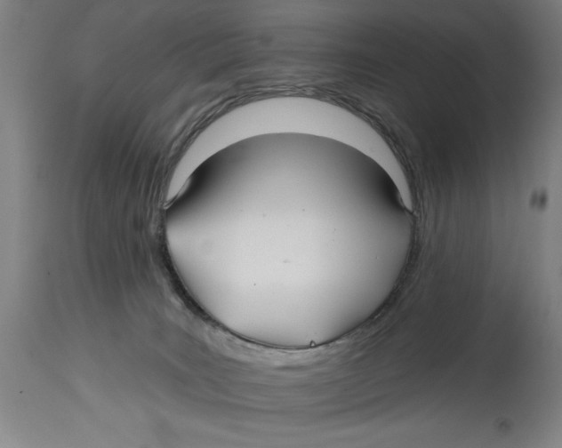 X0000114570035200911161256