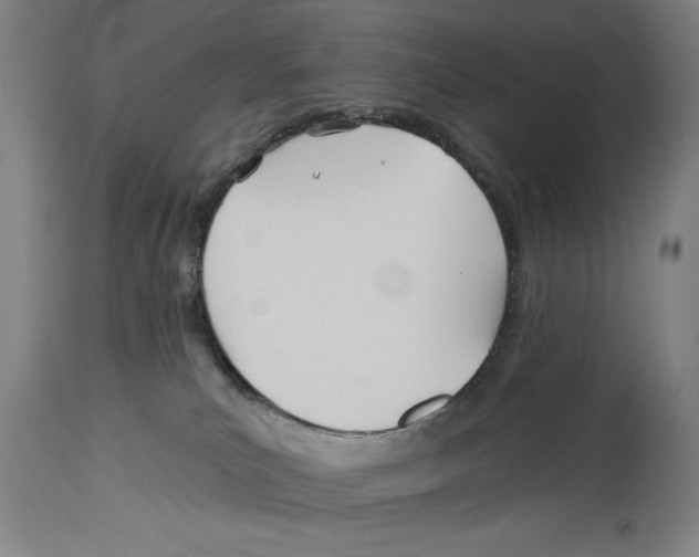 X0000114570039200911161256