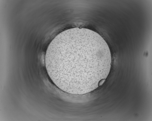 X0000114570042200911161256