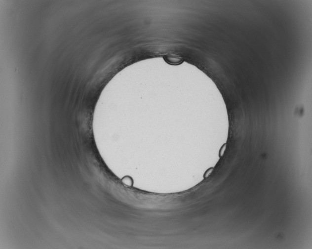 X0000114570044200911161256