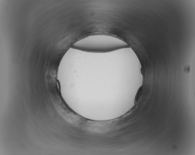 X0000114570045200911161256