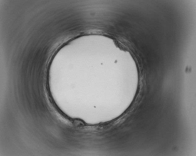 X0000114570049200911161255