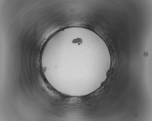 X0000114570050200911161255