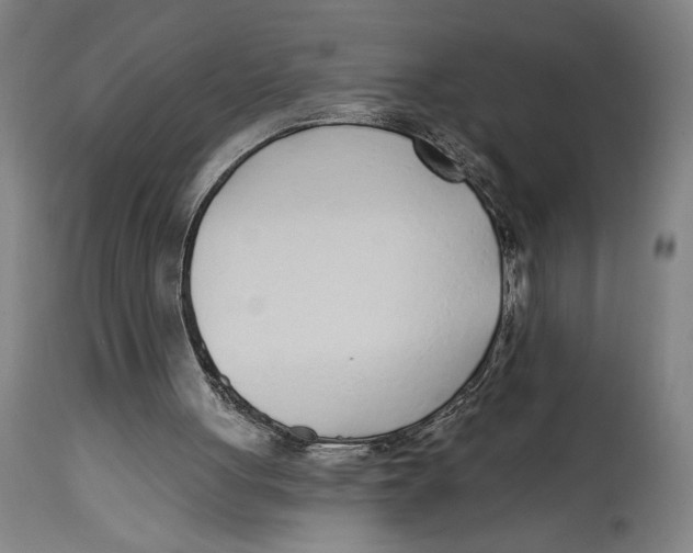 X0000114570051200911161255