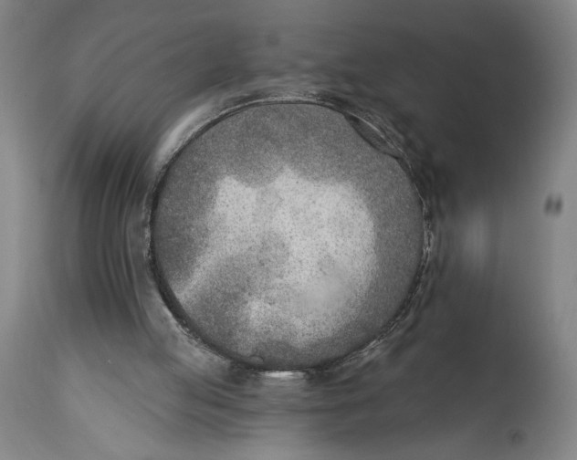 X0000114570053200911161255