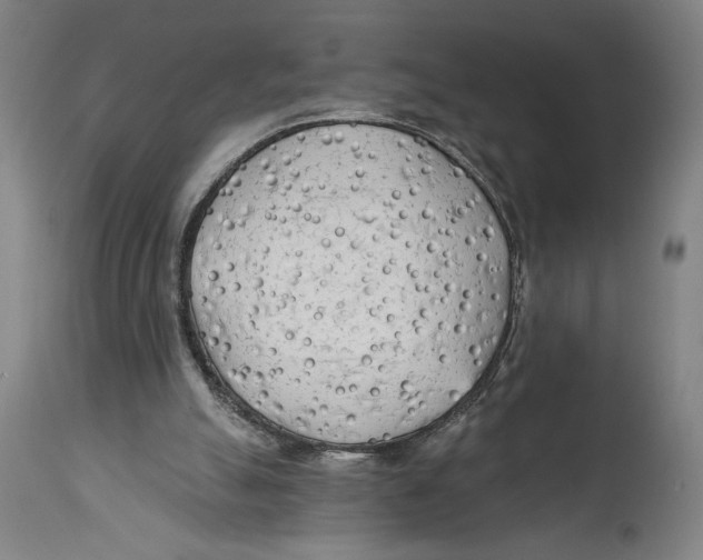 X0000114570055200911161255